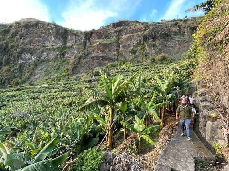 Madeira: Banana Plantation Guided Tour with Tasting - Who Should Consider This Tour?  