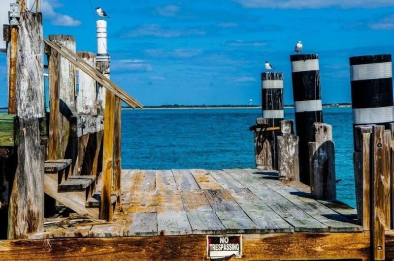 Madeira Beach: Egmont Key Snorkeling and Dolphin Cruise - Who Would Enjoy This Tour?