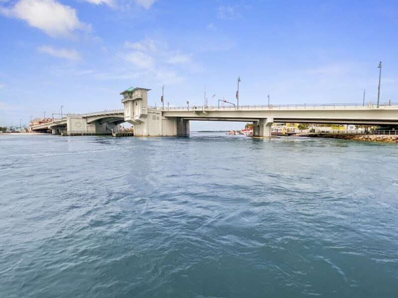 Madeira Beach: Guided Dolphin Watching Eco-Friendly Cruise - What Makes This Dolphin Watching Cruise Stand Out?