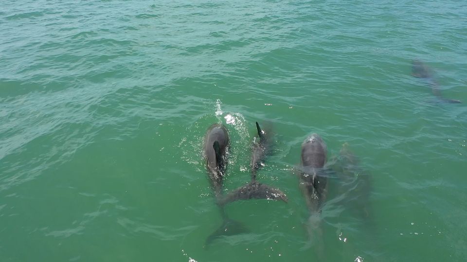 Madeira Beach: Sightseeing Cruise to Johns Pass With Guide - Tips for Parking and Arrival