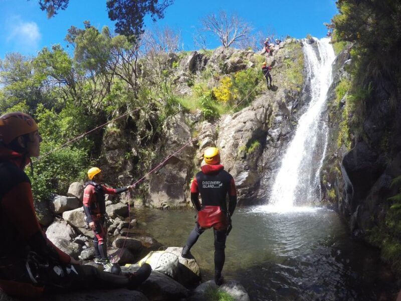 Madeira: Beginner (Level 1) Canyoning Experience - What to Expect from the Madeira Beginner Canyoning Tour