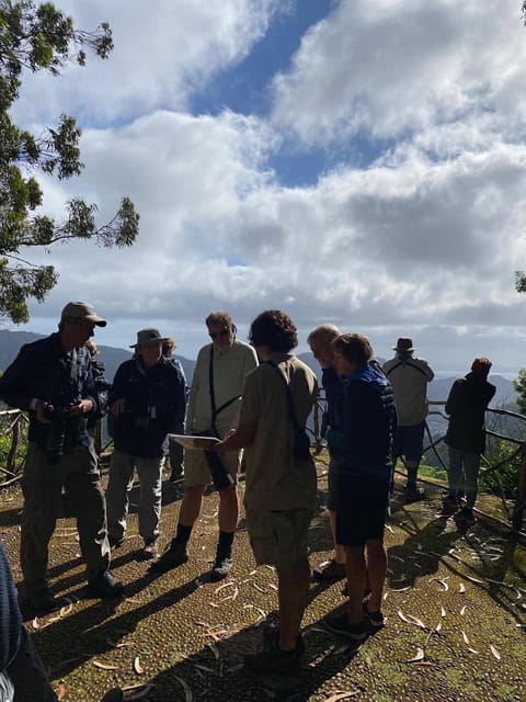 Madeira: Birdwatching - The Endemics - The Experience: What Travelers Say