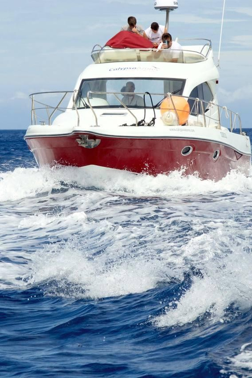 Madeira: Boat trip - Key Points