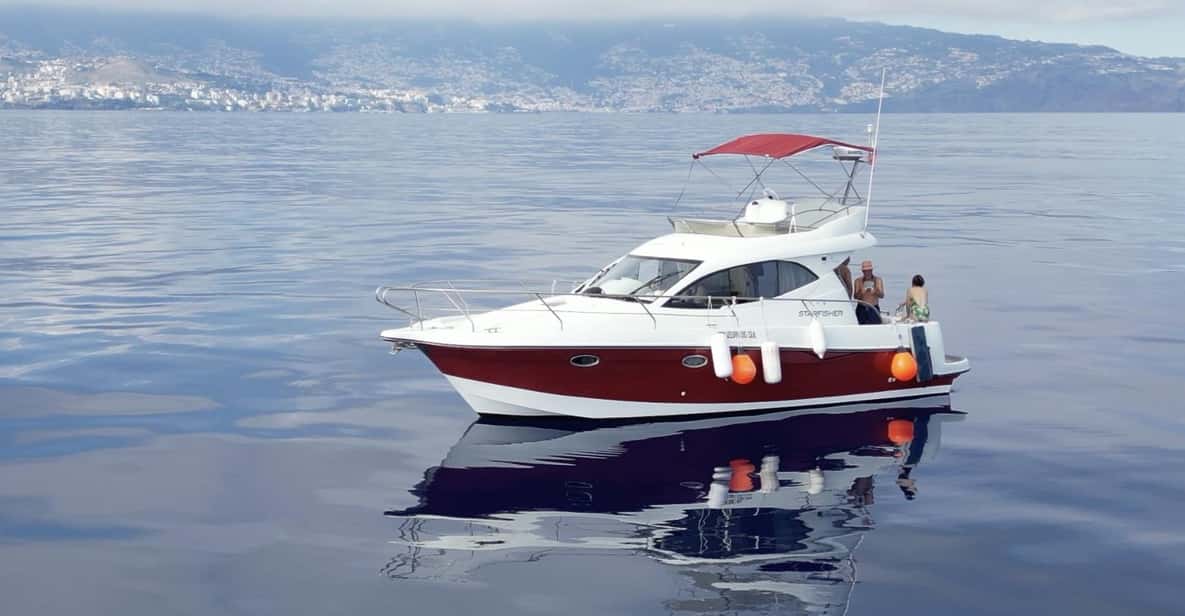 Madeira: Boat trip - An In-Depth Look at the Madeira Boat Trip