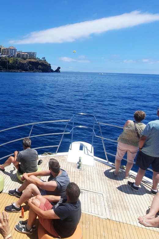 Madeira: Boat Trip with Lunch, Drinks, and Hotel Transfer - Final Thoughts: Who Will Love This Tour?
