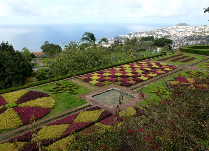 Madeira: Botanical Garden in a Tuk-Tuk Tour - Who Will Love This Experience?