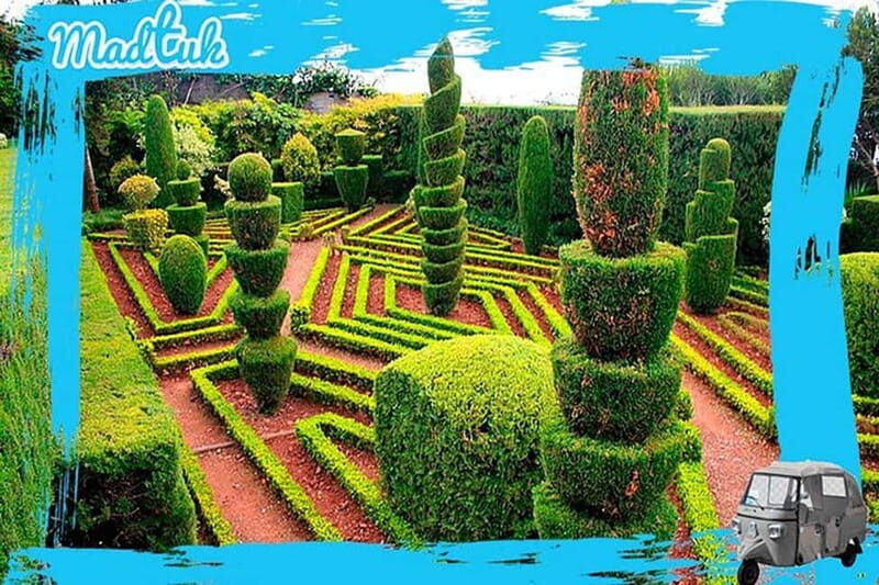 Madeira: Botanical Gardens + Old Town Tuk-Tuk Tour by MadTuk - Overview of the Experience