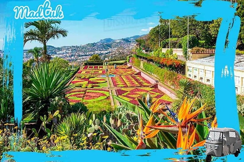 Madeira: Botanical Gardens + Old Town Tuk-Tuk Tour by MadTuk - About the Price and Value