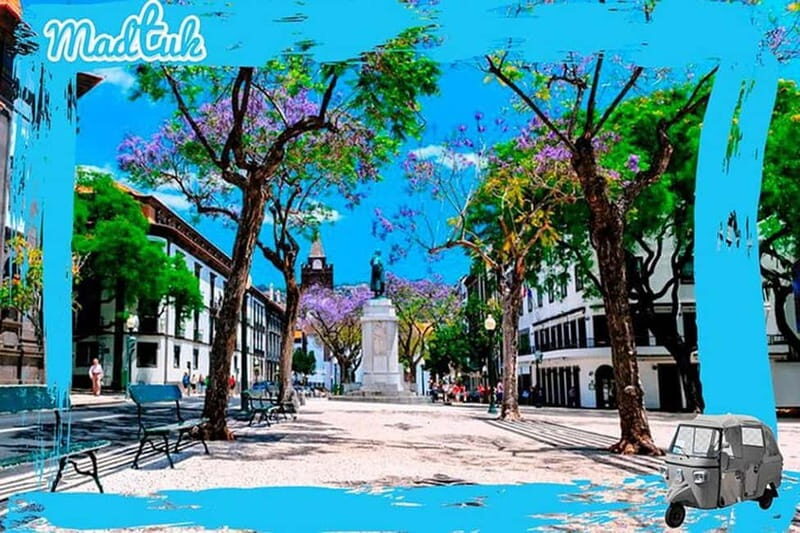 Madeira: Botanical Gardens + Old Town Tuk-Tuk Tour by MadTuk - The Experience Provider and Safety