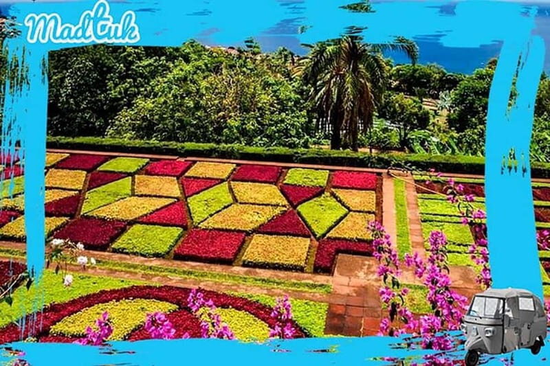 Madeira: Botanical Gardens + Old Town Tuk-Tuk Tour by MadTuk - Who Will Love This Tour?