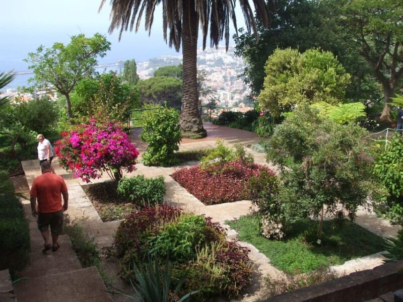 Madeira: Botanical, Monte Palace, and Palheiro Gardens - Madeira Botanical Garden: A Paradise for Plant Lovers