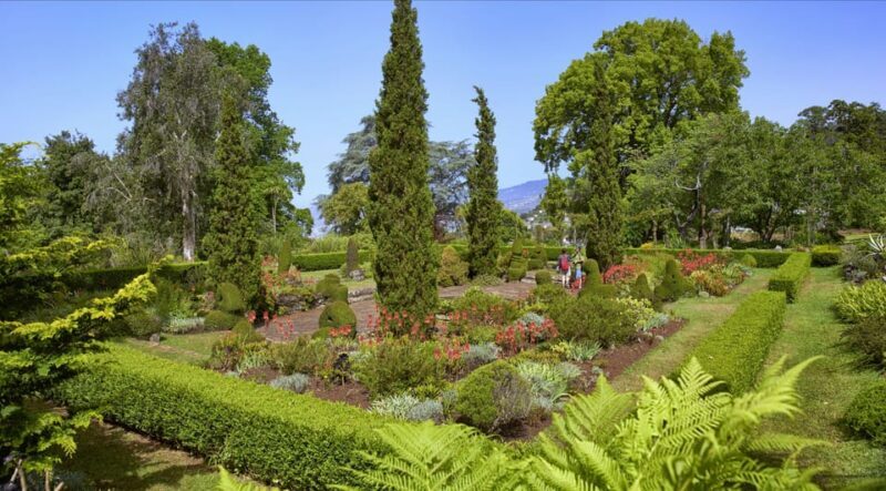 Madeira: Botanical, Monte Palace, and Palheiro Gardens - Pricing and Value