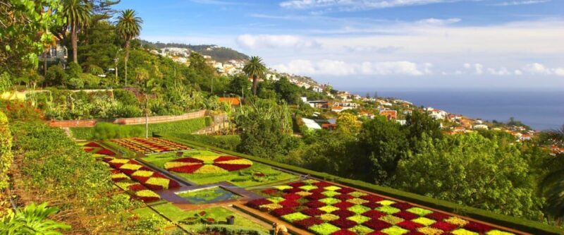 Madeira: Botanical, Monte Palace, and Palheiro Gardens - Who Is This Tour Best For?