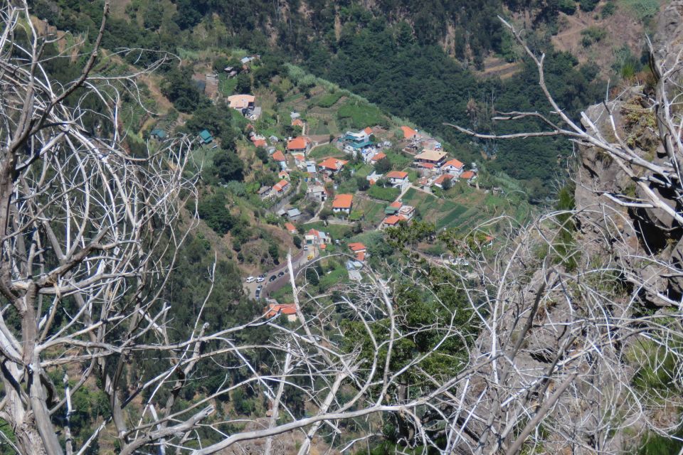 Madeira: Cabo Girao and Camara De Lobo 4WD Half-Day Tour - Discovering Camara De Lobos