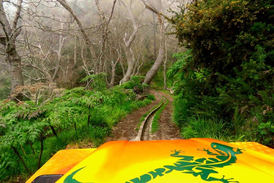 Madeira: Cabo Girao and Camara De Lobo 4WD Half-Day Tour - Inclusions and Exclusions