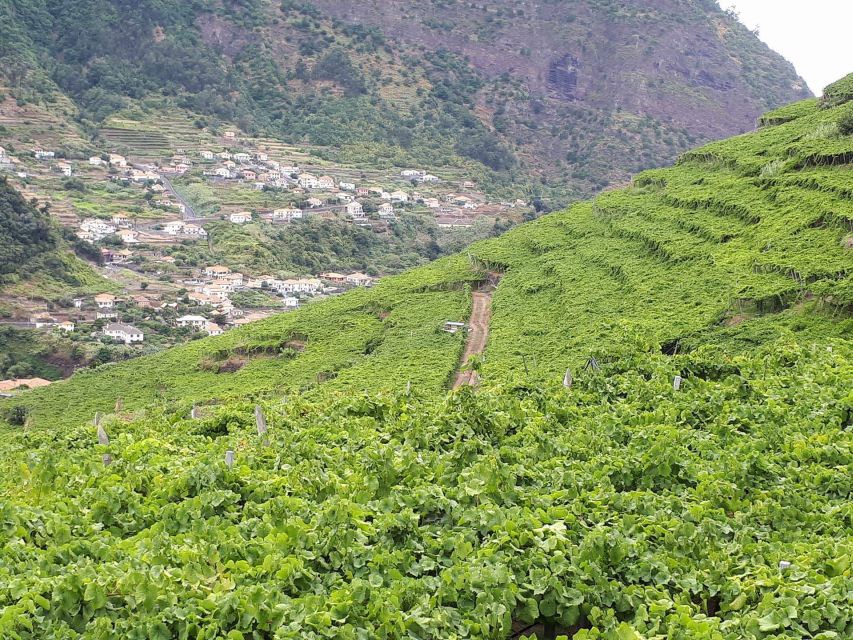 Madeira: Cabo Girão, Wine Tasting, & Serra D'água Jeep Tour - Key Points