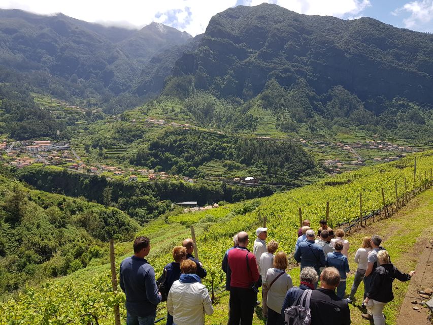 Madeira: Cabo Girão, Wines Experience and Dolphins Watching - Suitability and Exclusions