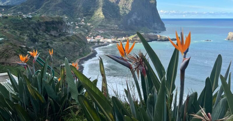Madeira: Cliff Hanger Vereda Larano Hike Machico - Exploring the Itinerary: What Makes Each Stop Special