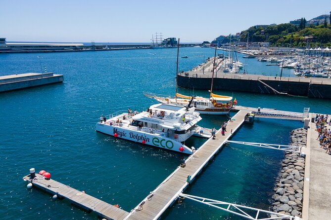 Madeira Dolphin and Whale Watching on a Ecological Catamaran - Catamaran Experience