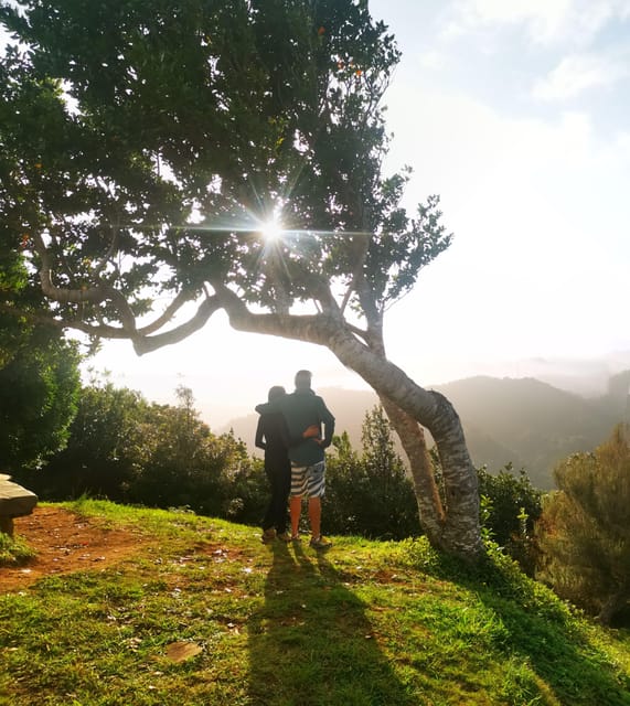 Madeira E-Buggy Adventure: 4x4 thrill & epic views! Book now - An In-Depth Look at the Madeira E-Buggy Adventure