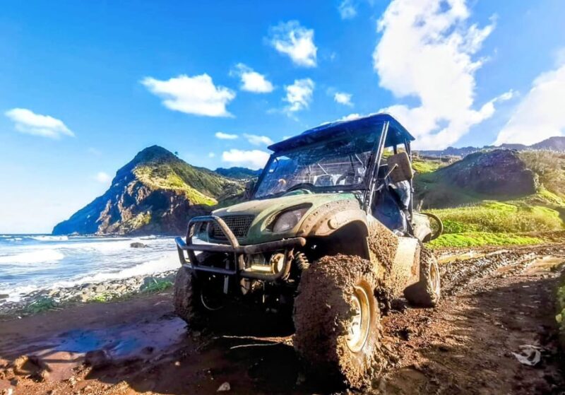Madeira E-Buggy Adventure: 4x4 thrill & epic views! Book now - Pricing and Value