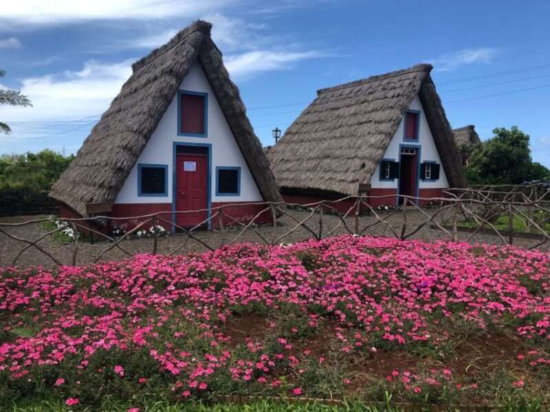 Madeira: East Coast, Sao Lourenço & Local farmers' market - Who Will Love This Tour?