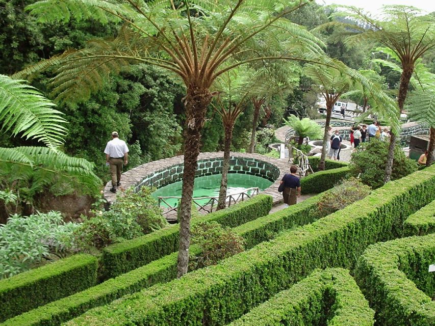 Madeira East Island Tour and Levada Walk - Key Points