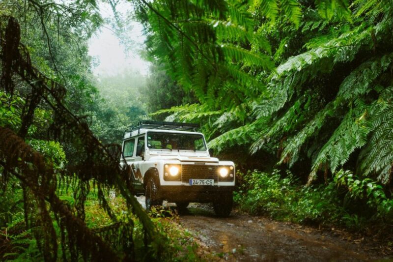 Madeira : East Side - Santana Highlights 4x4 Experience - Booking Information