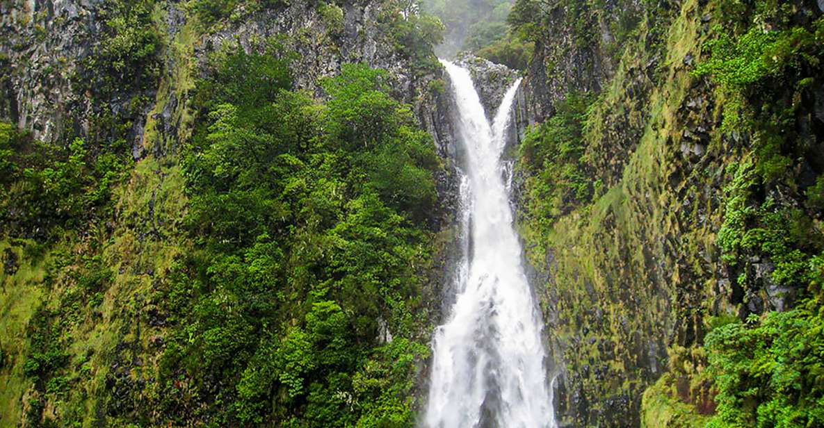 Madeira: Enjoy a Guided Levada Walk in the Rabacal Valley - Key Points
