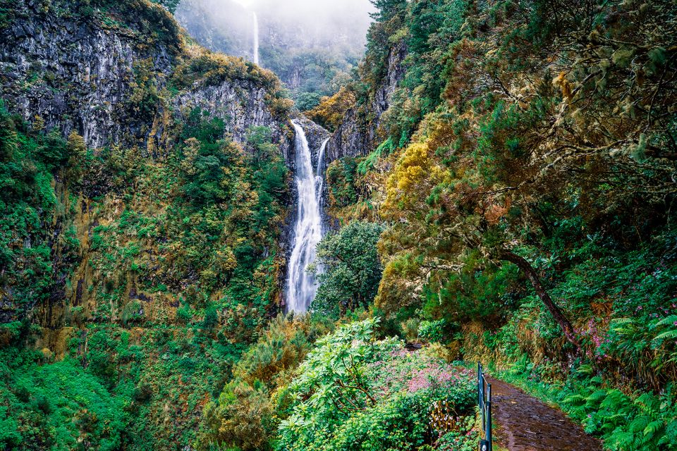 Madeira: Enjoy a Guided Levada Walk in the Rabacal Valley - Levada Walking Tour