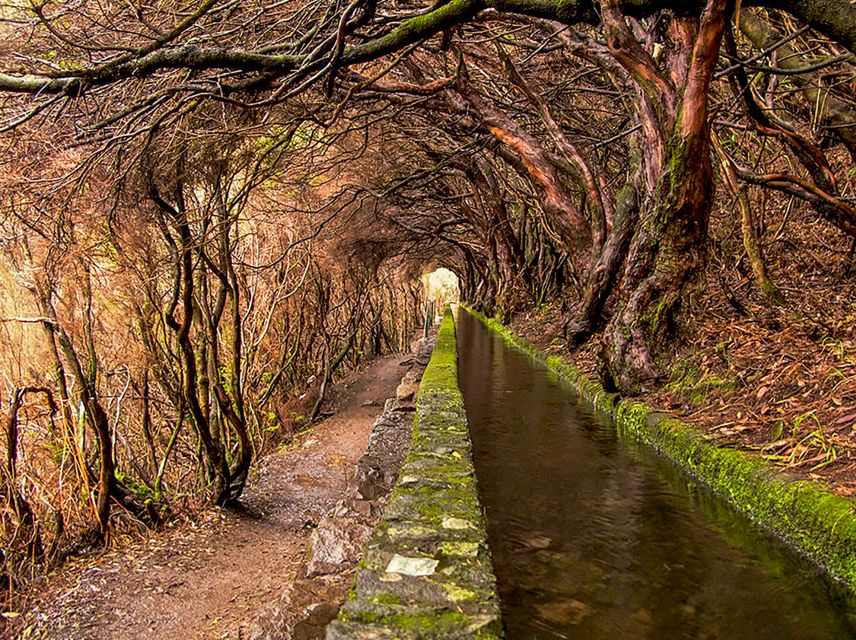 Madeira: Enjoy a Guided Levada Walk in the Rabacal Valley - Frequently Asked Questions