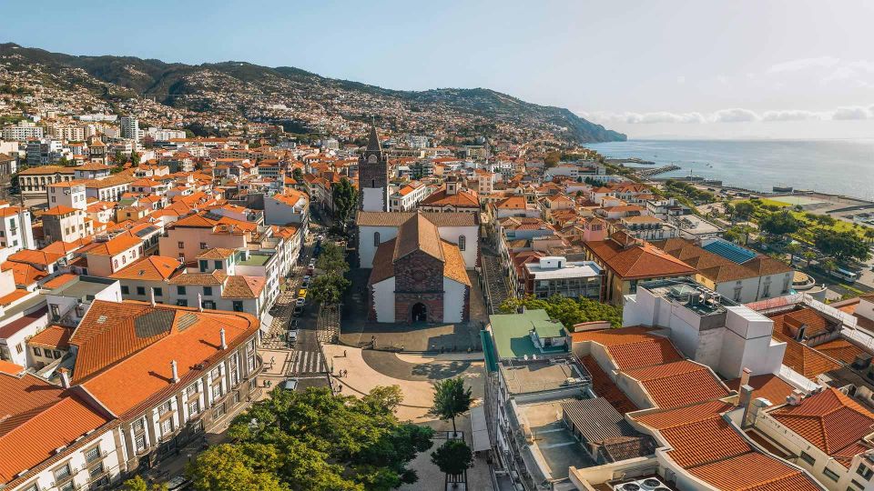 Madeira: Food and Wine Walking Tour in Funchal - Blending History, Culture, and Gastronomy