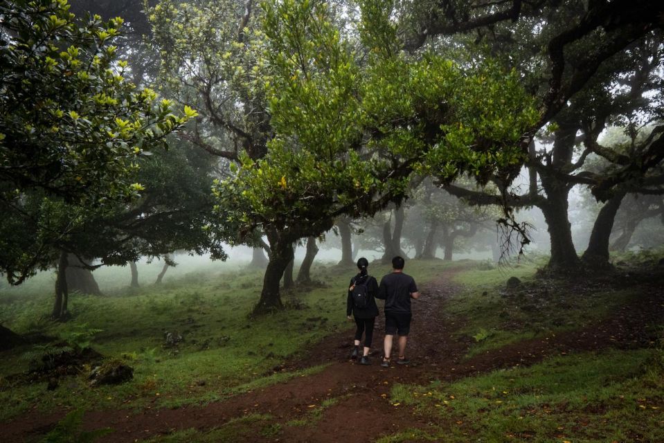 Madeira : Full Day Adult-Only West 4x4 Tour - Highlights of the Tour