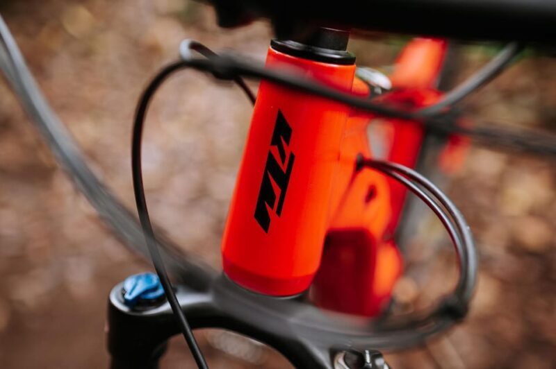 Madeira: Full Day E-Bike Rental - Why Choose the Madeira E-Bike Rental?