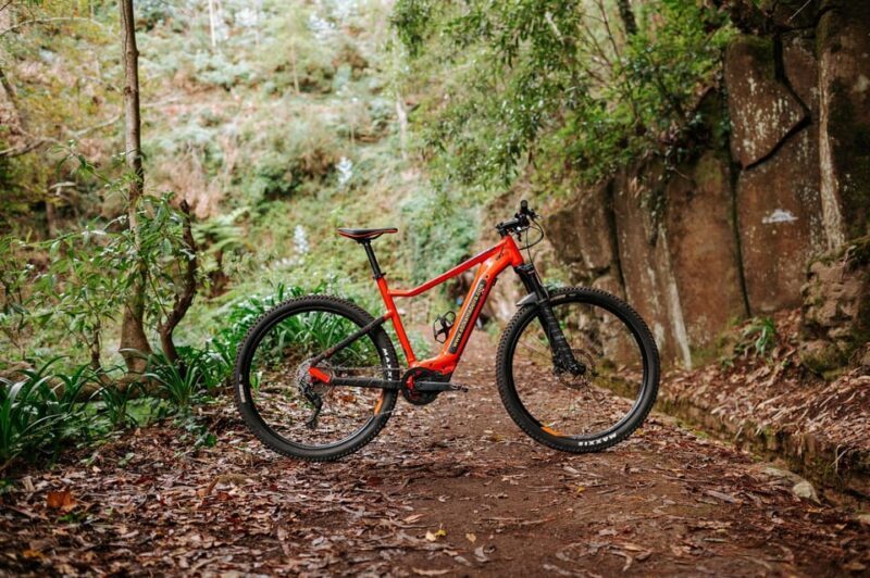 Madeira: Full Day E-Bike Rental - The Route: What You Can Expect