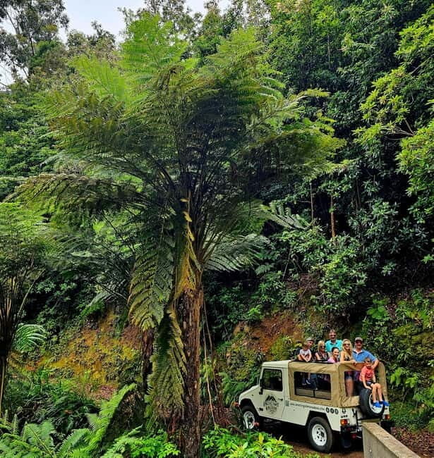 Madeira: full day private tour (maximum 6 people) - FAQ