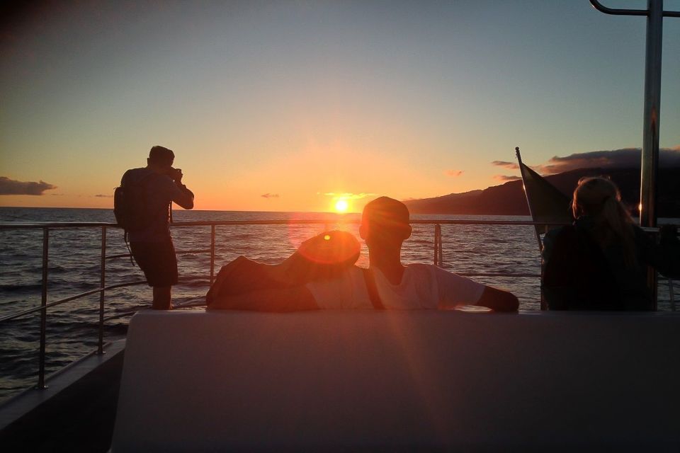 Madeira: Funchal Sunset Tour by Catamaran - Experience Highlights