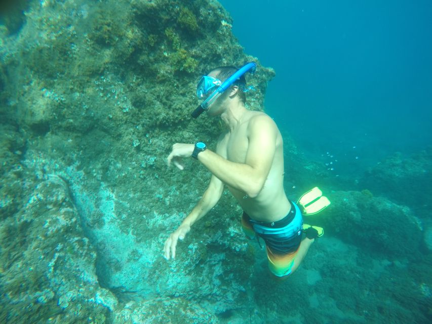 Madeira: Garajau Nature Reserve Kayak and Snorkel Tour - Key Points