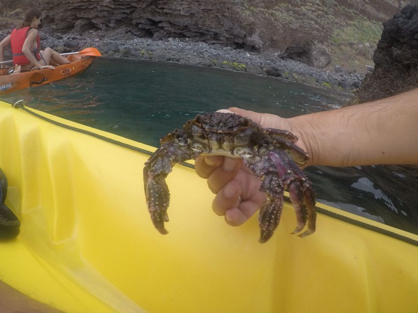 Madeira: Garajau Nature Reserve Kayak and Snorkel Tour - Frequently Asked Questions