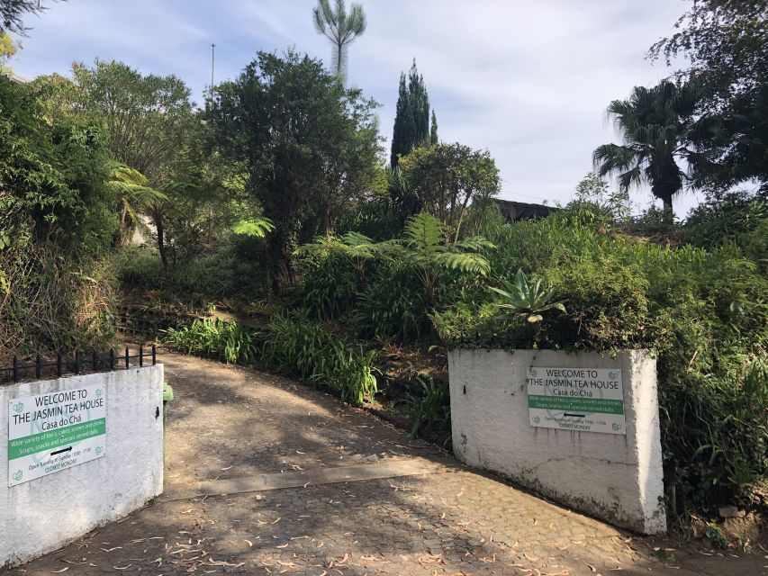 Madeira: Guided and Private Tour of Jasmine Tea House - Levada Walking and Nature Experience