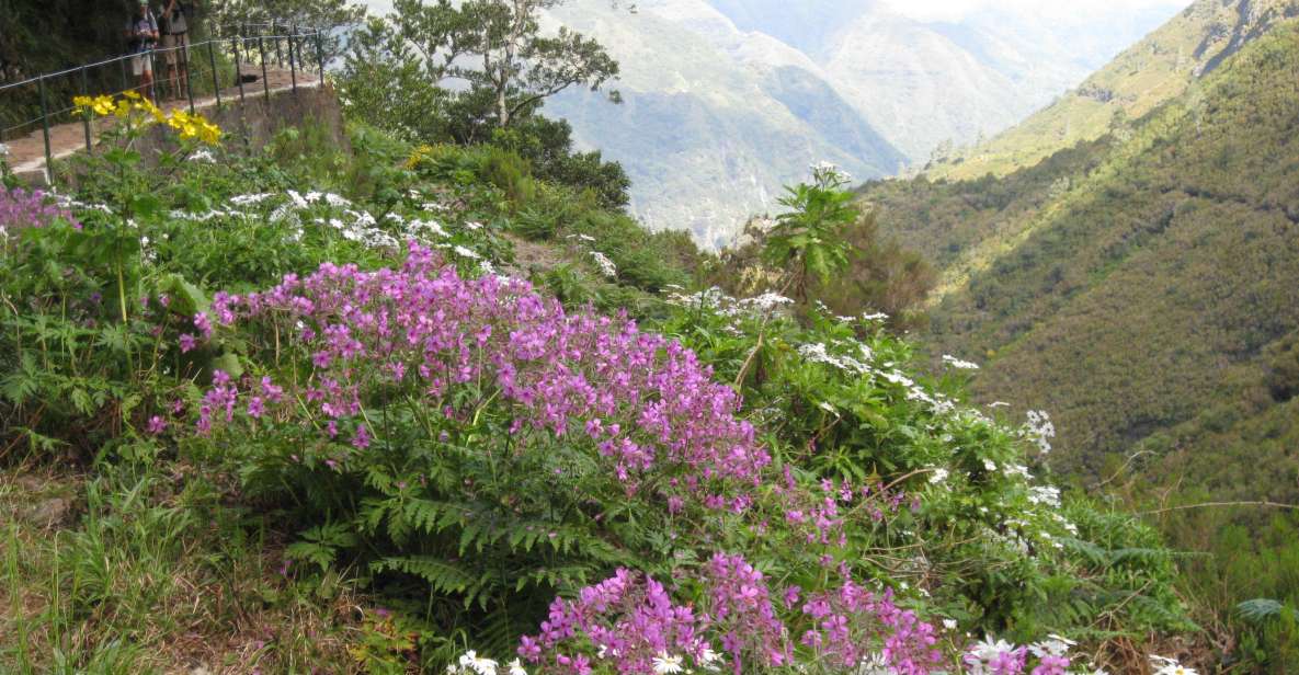 Madeira: Guided Full-Day Rabaçal Walk - Included and Excluded