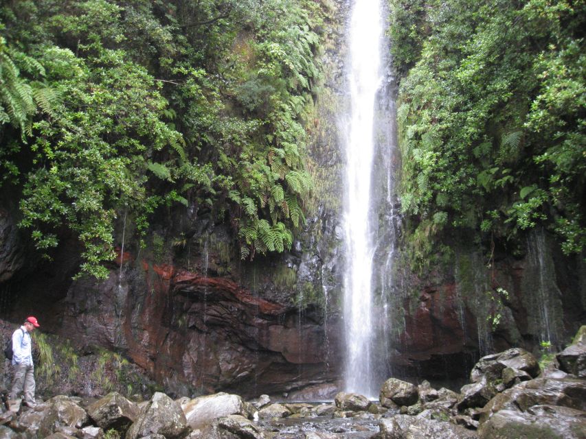 Madeira: Guided Full-Day Rabaçal Walk - Activity Description