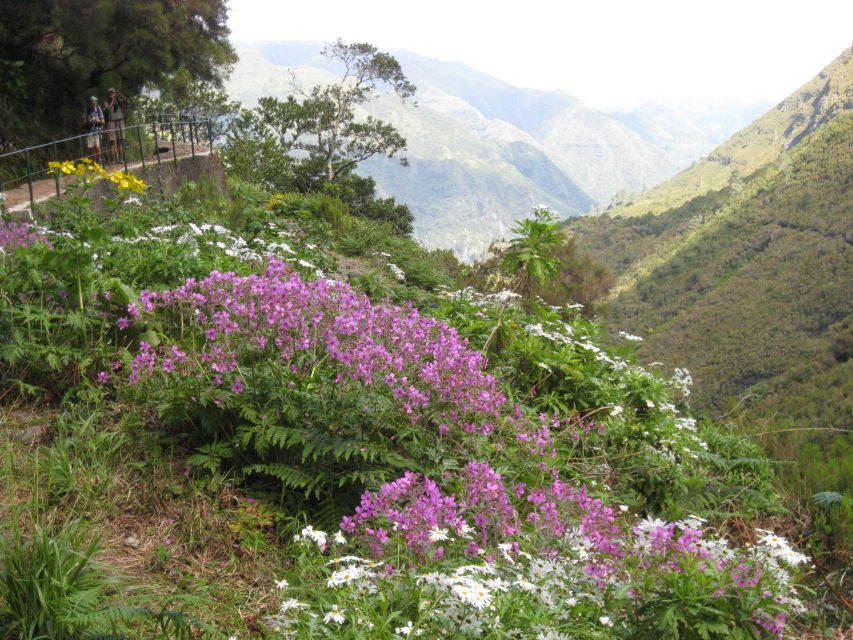 Madeira: Guided Full-Day Rabaçal Walk - Booking Details