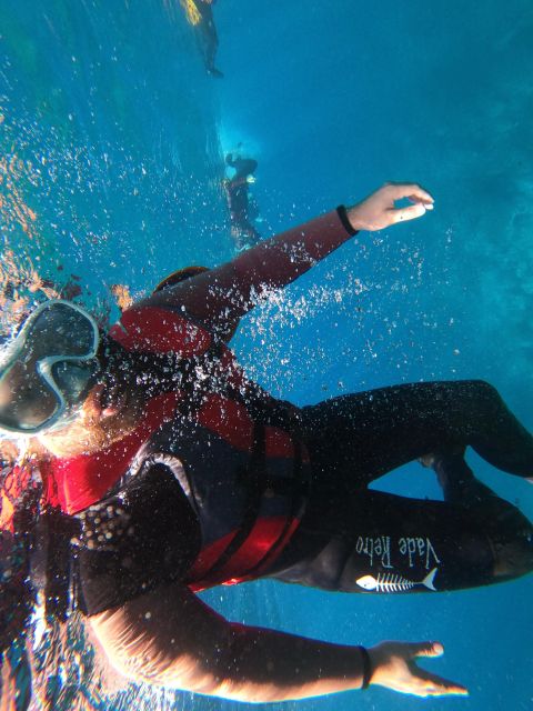 Madeira: Half-Day Coasteering Tour - Tour Logistics