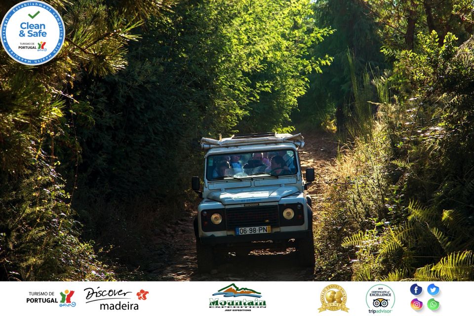 Madeira: Half-Day Nuns Valley and Sea Cliff Tour - Tour Highlights