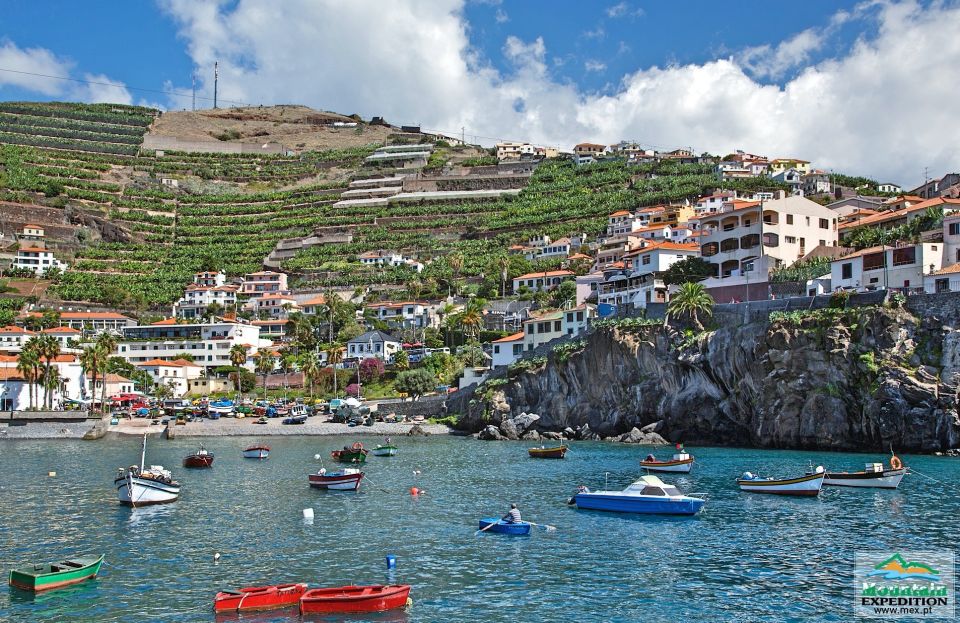 Madeira: Half-Day Nuns Valley and Sea Cliff Tour - Tour Description