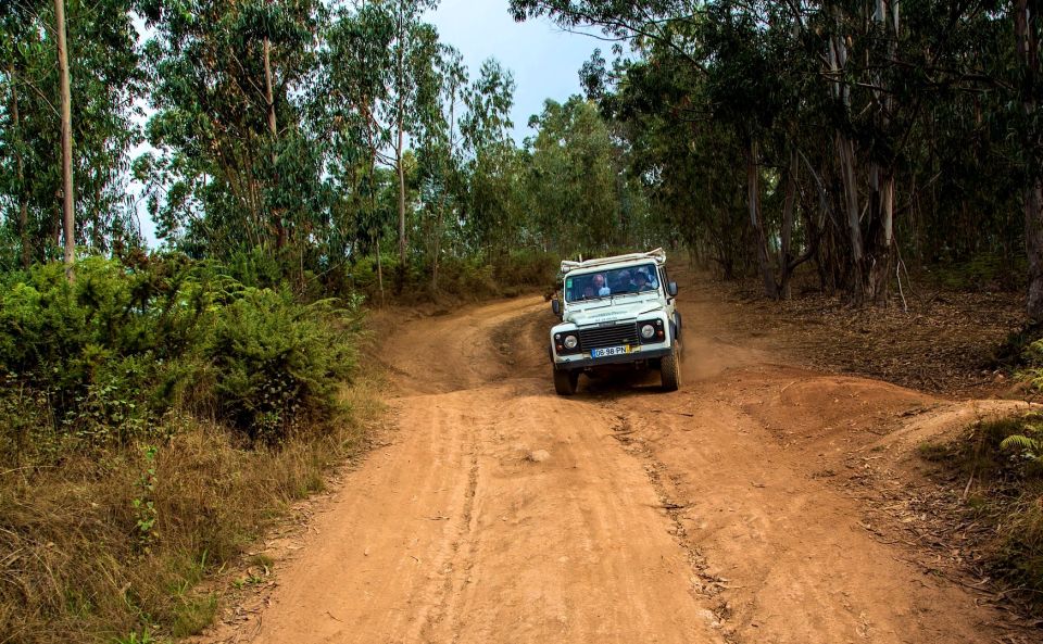 Madeira: Half-Day Nuns Valley and Sea Cliff Tour - Customer Reviews
