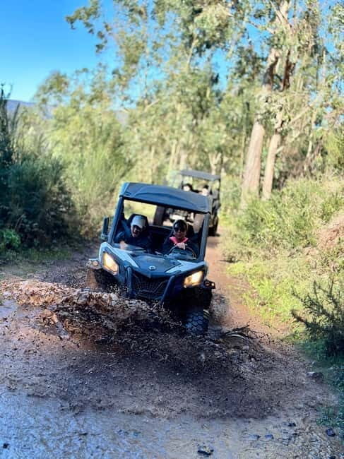 Madeira: Half-Day Off-Road Buggy Tour - Introduction: An Adventure in Madeira’s Wilderness