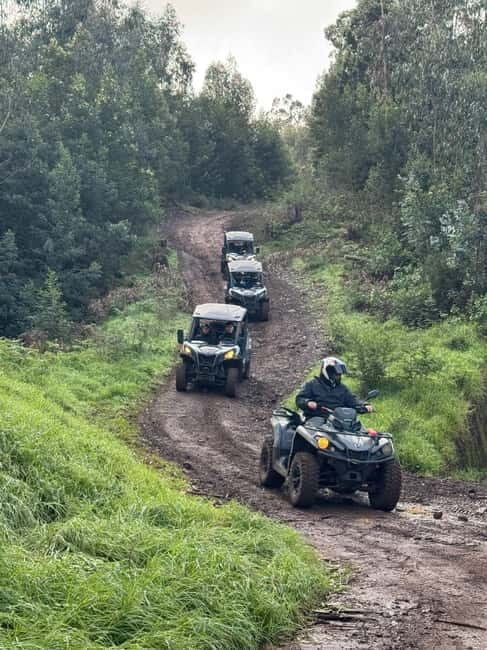 Madeira: Half-Day Off-Road Buggy Tour - Pricing and Value
