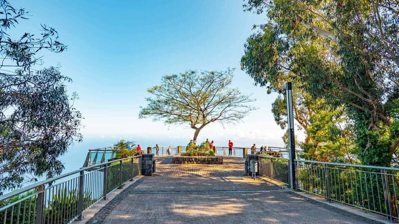 Madeira: Highest Cliff in Europe & Visit to a Winery - Final Thoughts